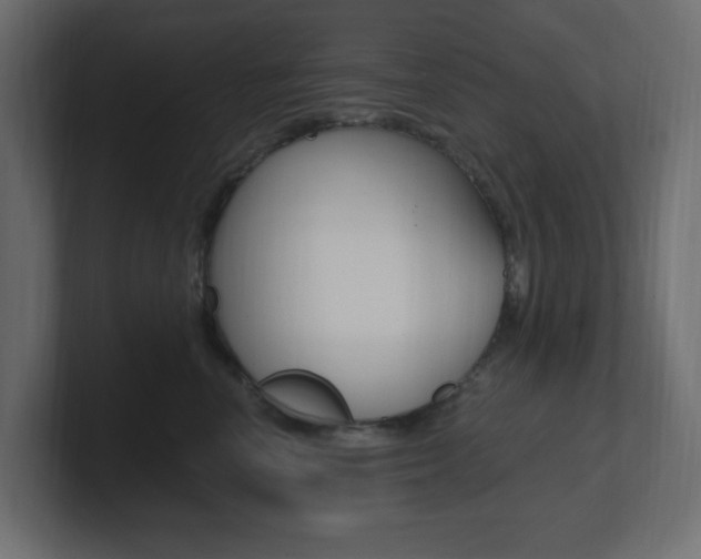 X0000101090666200806261103