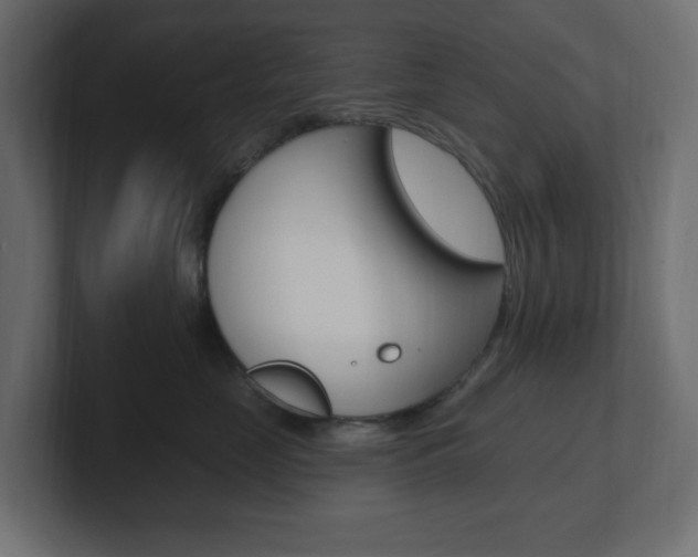 X0000101090669200806261103