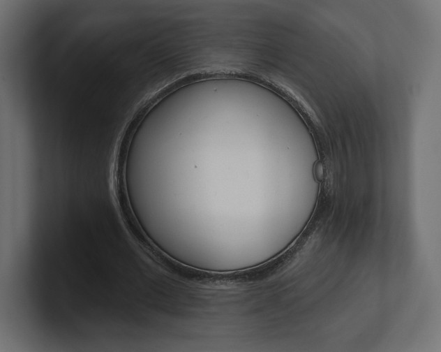 X0000101090677200806261102