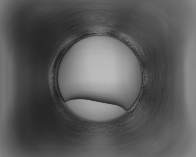 X0000101090679200806261102