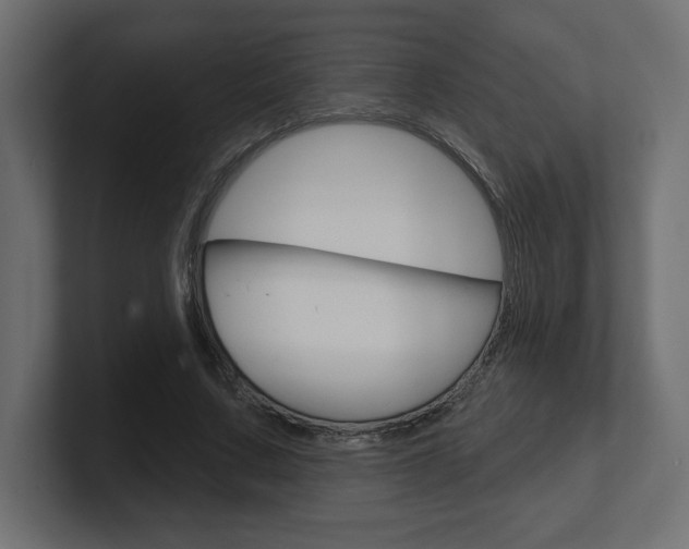 X0000101090683200806261102