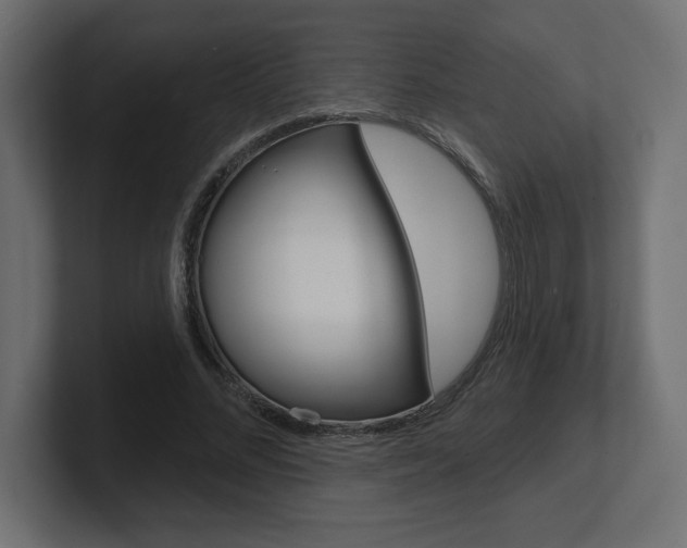 X0000101090684200806261102