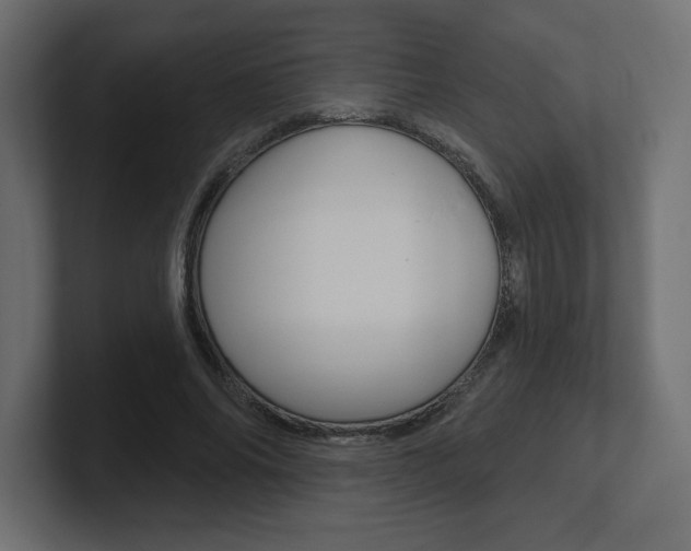 X0000101090686200806261102
