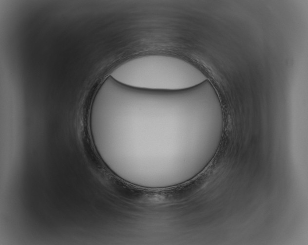 X0000101090687200806261102