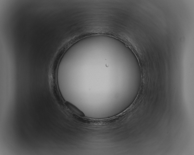 X0000101090688200806261102