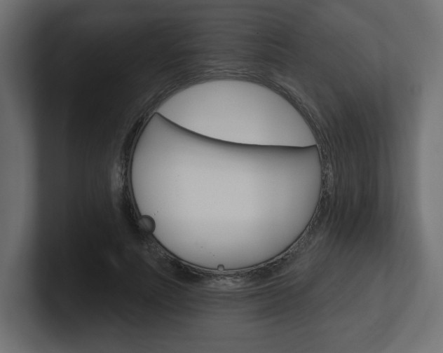 X0000101090691200806261102