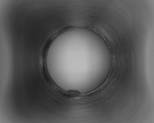 X0000101090692200806261102