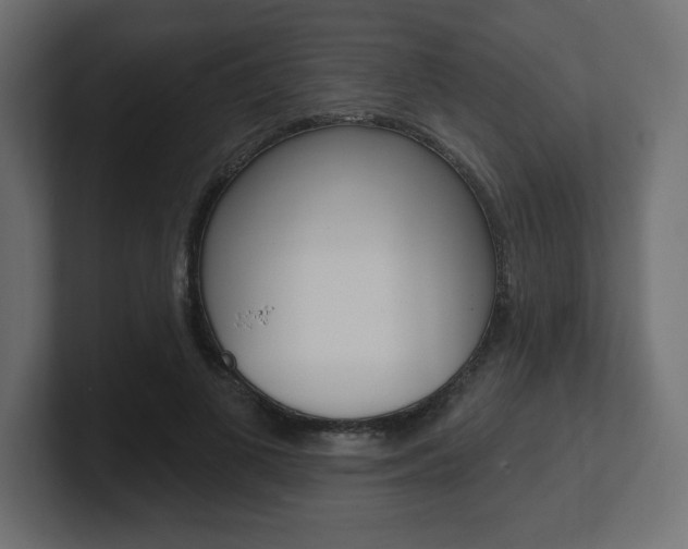 X0000101090693200806261102
