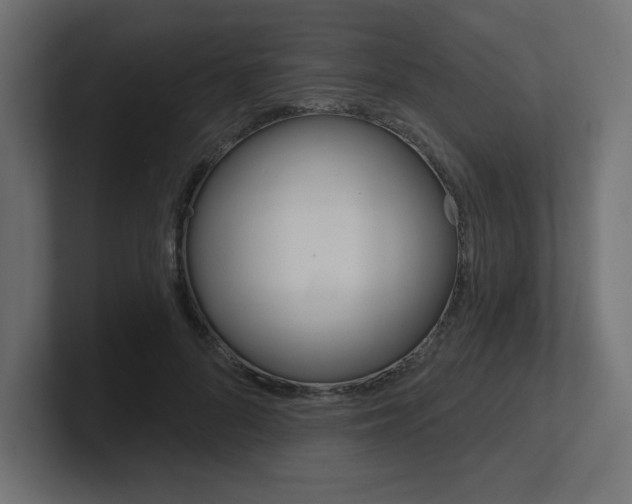 X0000101090696200806261102