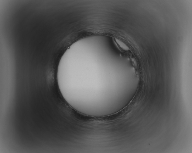 X0000101090697200806261102