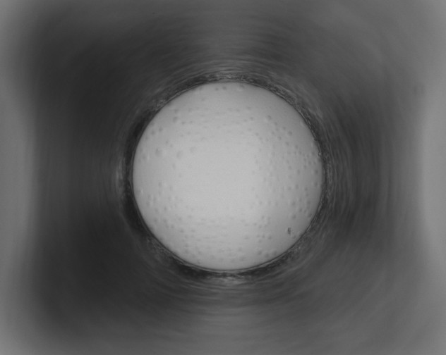 X0000101090698200806261102