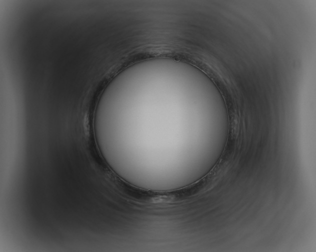 X0000101090700200806261102