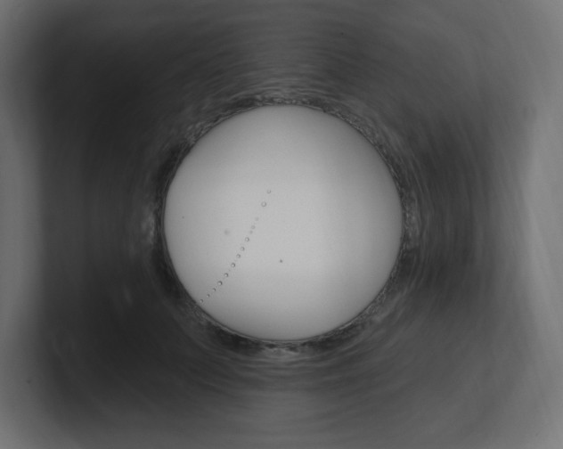 X0000101090703200806261102