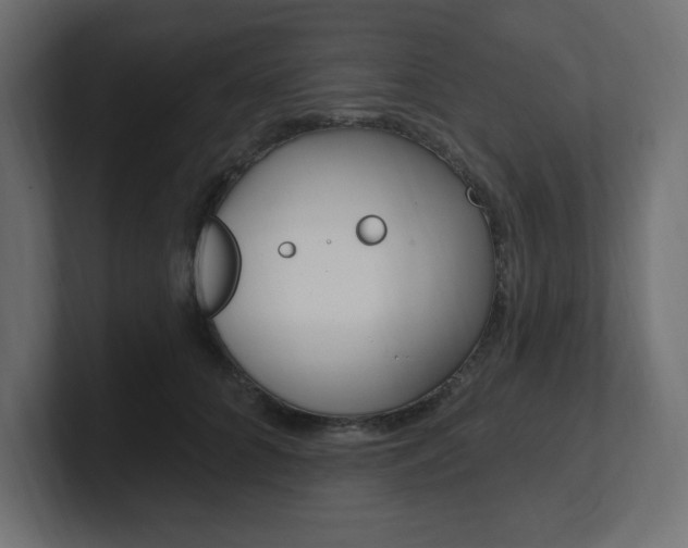 X0000101090704200806261102