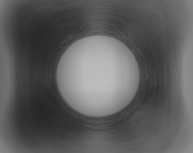 X0000101090705200806261102