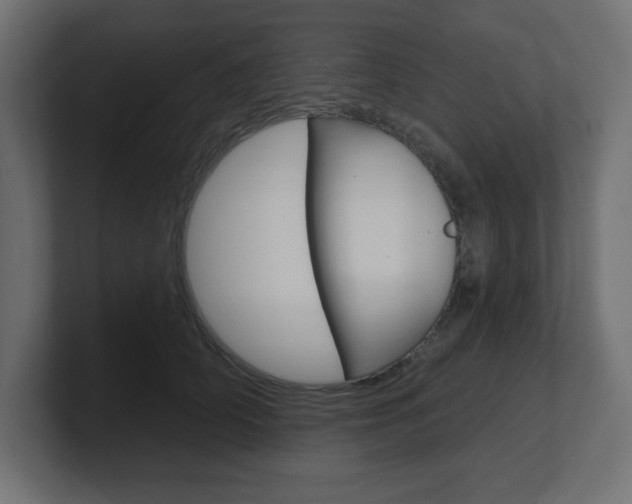 X0000101090706200806261102