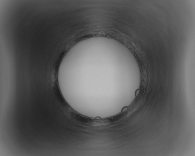 X0000101090707200806261102