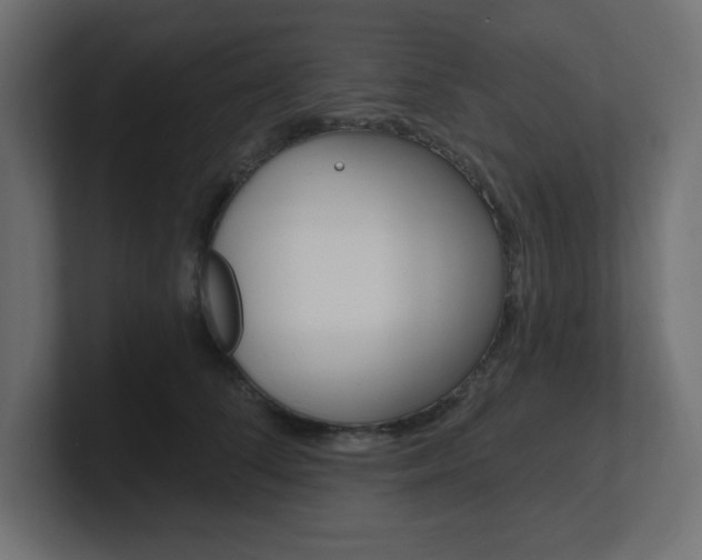 X0000101090708200806261102