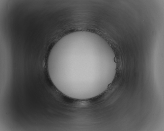 X0000101090711200806261102