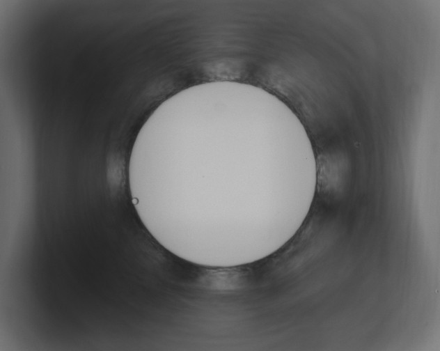 X0000101090713200806261102