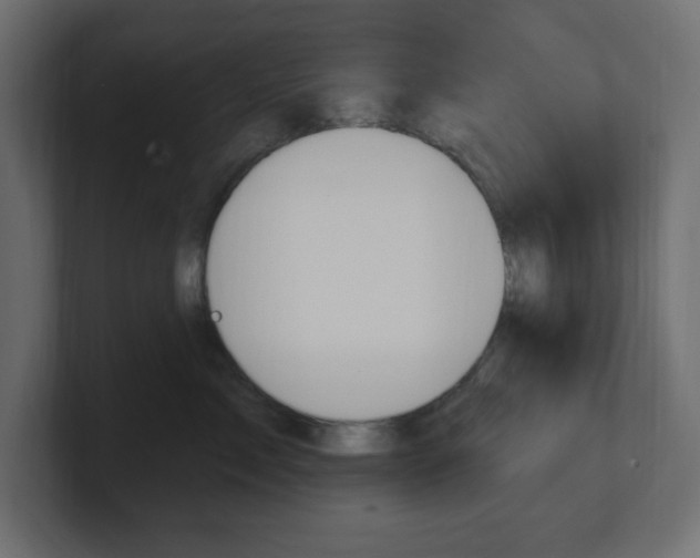 X0000101090717200806261102