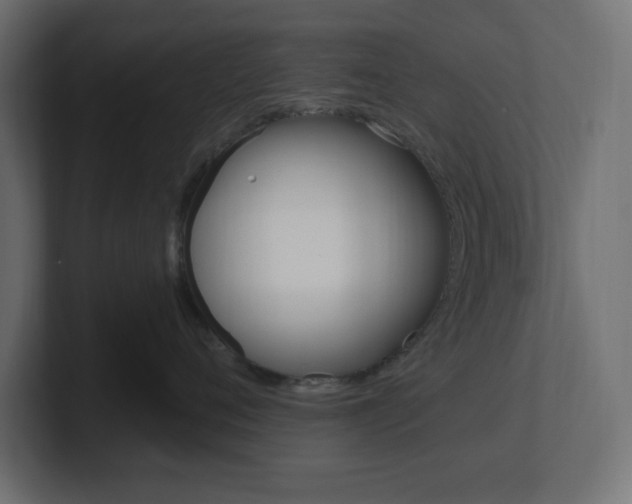 X0000101090720200806261102