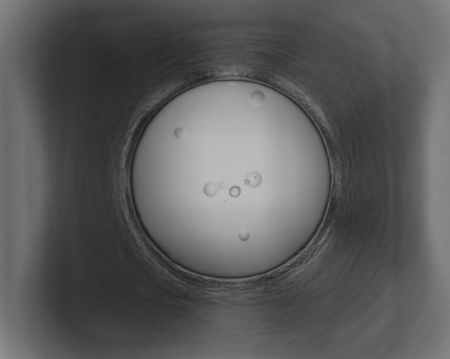 X0000101090721200806261101