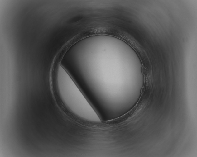 X0000101090722200806261101