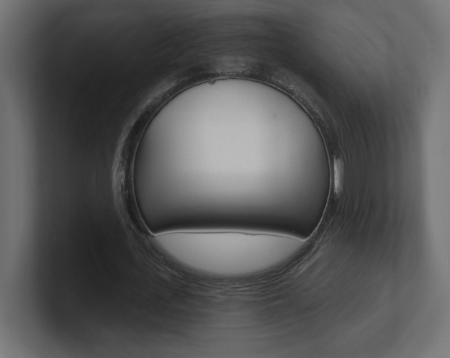 X0000101090723200806261101