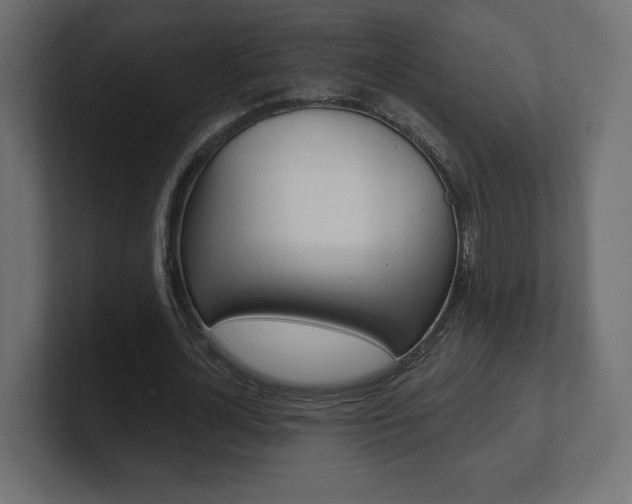 X0000101090724200806261101