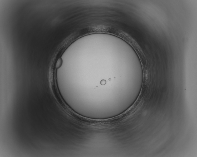 X0000101090725200806261101