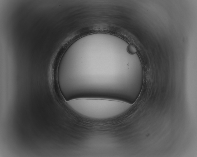 X0000101090727200806261101