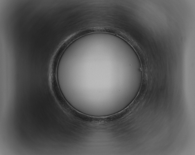 X0000101090728200806261101