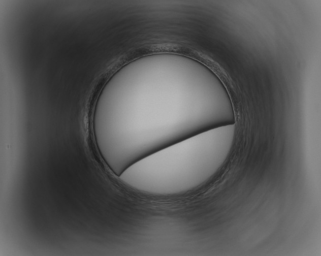 X0000101090729200806261101