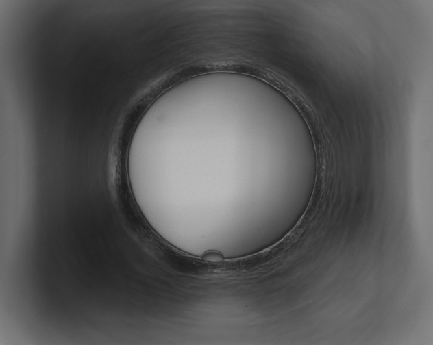 X0000101090732200806261101