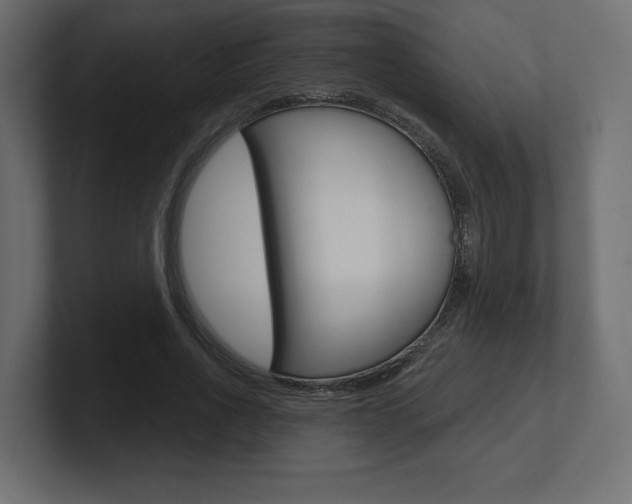 X0000101090734200806261101