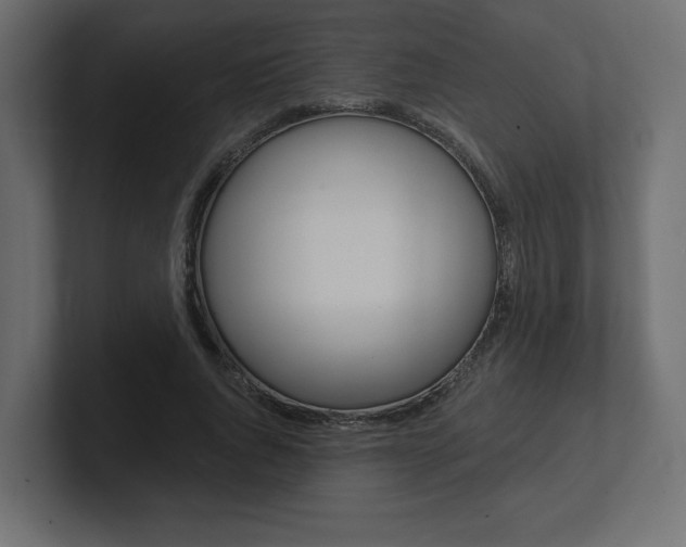 X0000101090736200806261101