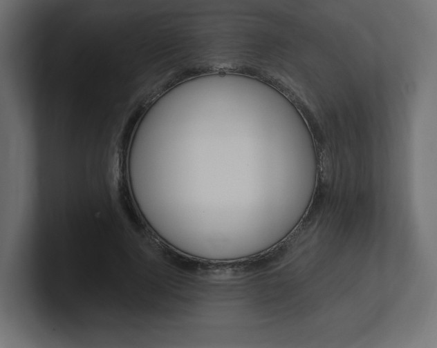 X0000101090740200806261102