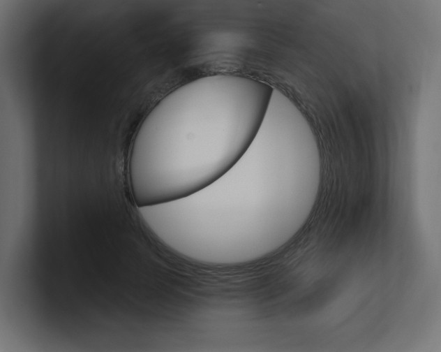 X0000101090745200806261102