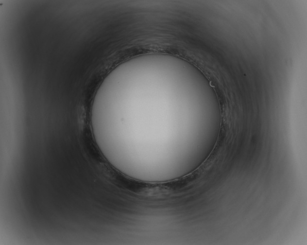 X0000101090752200806261102