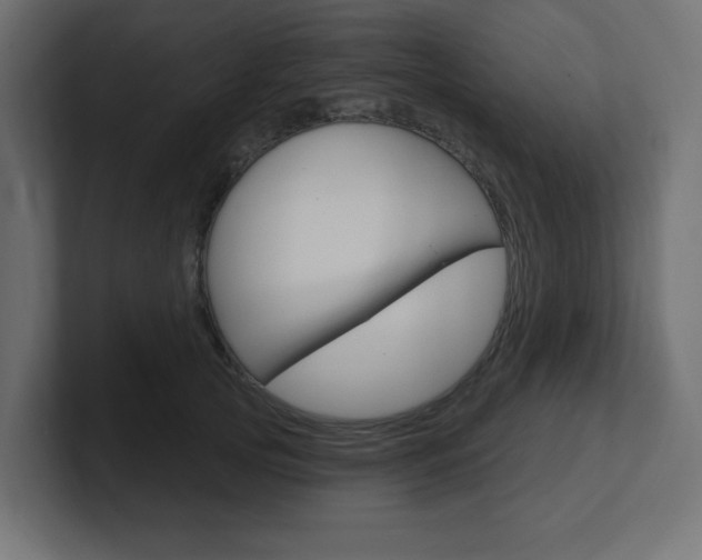 X0000101090753200806261102