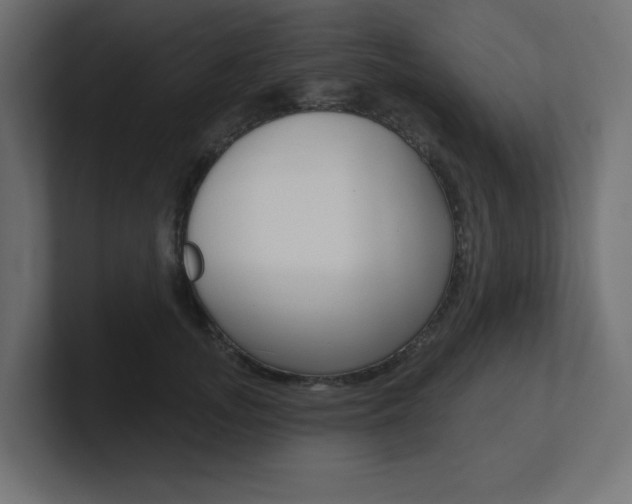 X0000101090755200806261102