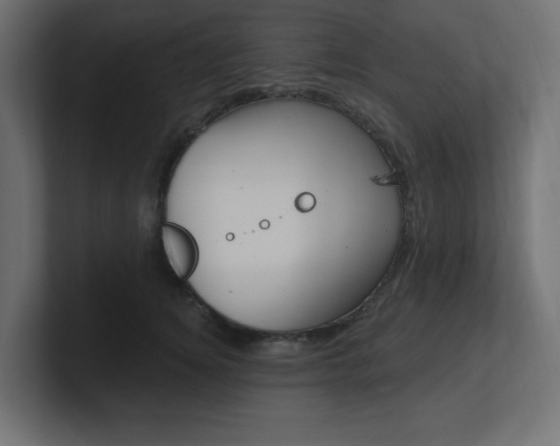 X0000101090756200806261102