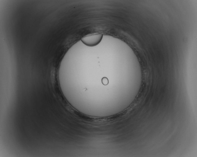 X0000101090757200806261102