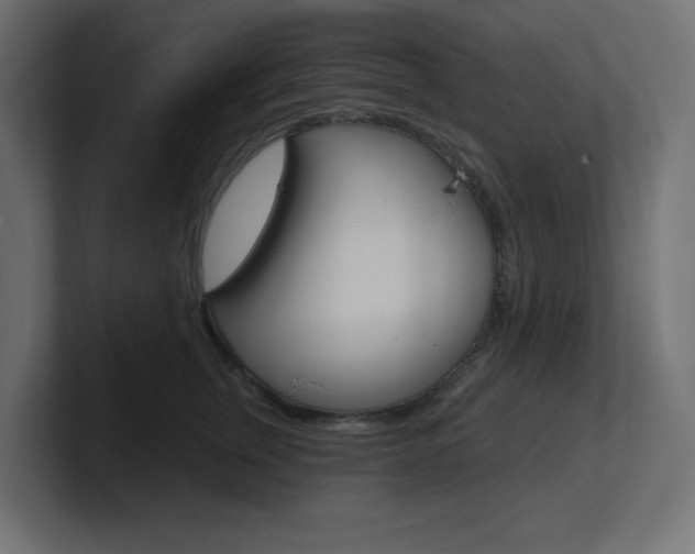 X0000101090759200806261102