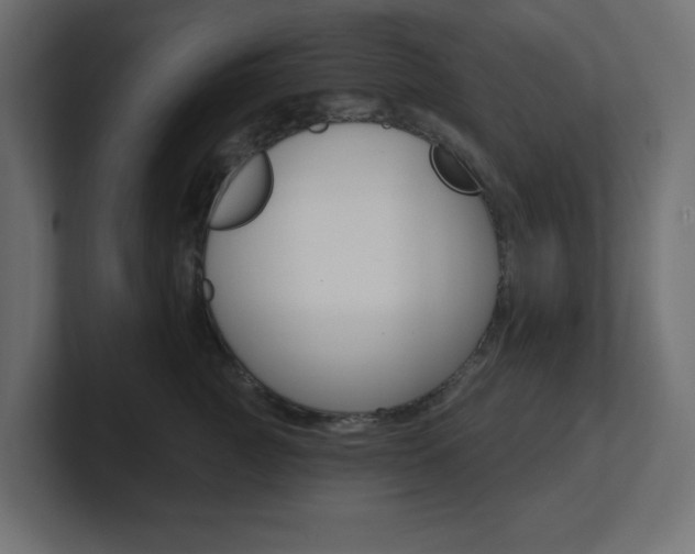 X0000101090761200806261102