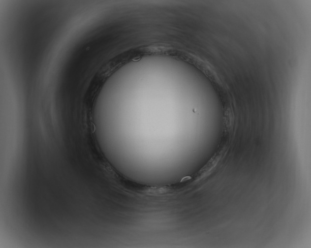 X0000101090762200806261102