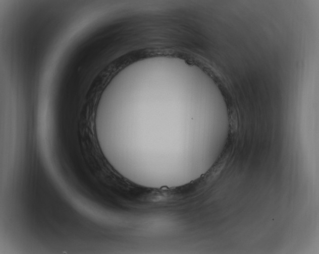 X0000101090764200806261102