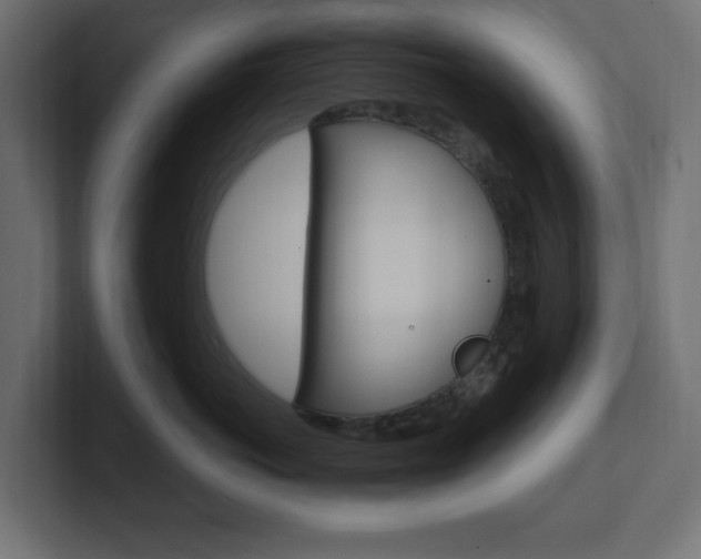 X0000101090766200806261102