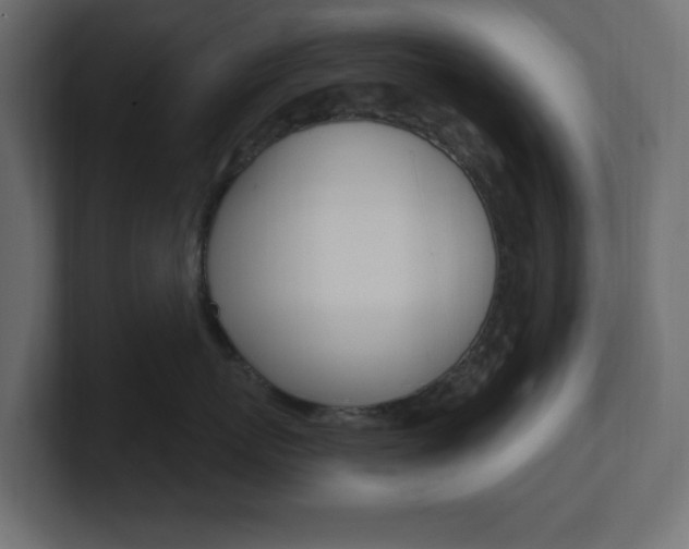 X0000101090767200806261102